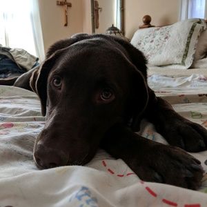 Meet your Posher, Sue